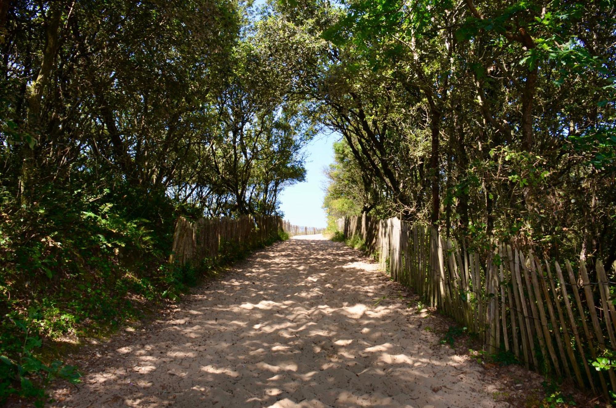 Camping Le Clos Des Pins Longeville-sur-Mer Esterno foto